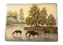 Horses Watering Box - 