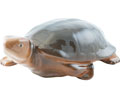 Large Turtle Porcelain Figurine - hand painted in Astrakhan, Russia