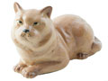 Brittish Cat Porcelain Figurine - hand painted in Astrakhan, Russia