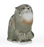 This Lomonosov Wildcat makes a great mascot for fans of the California Wildcats or Kentucky Wildcats.