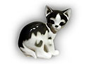 Cute black and white porcelain kitten is ready to pounce!