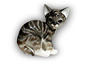 This black and gray  tabby  Kitten figurine looks straight at you saying “pet me please.” 