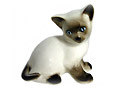 Porcelain Siamese kittens for sale! Buy this little blue-eyed beauty, and she will take your breath away.