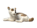 What is a Mongrel? The Mutt everybody loves!  