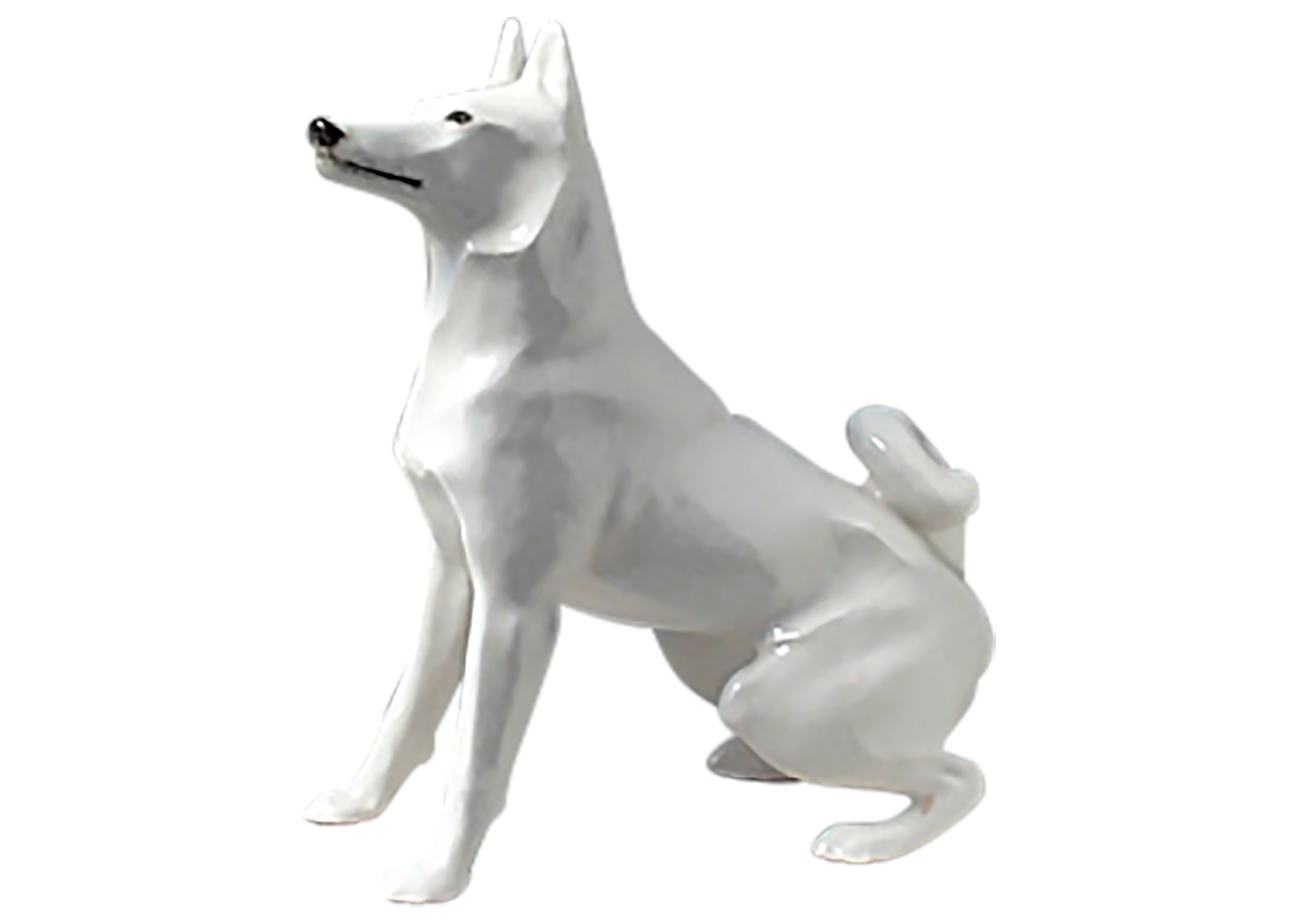 This large, white Lomonosov porcelain Siberian Husky figurine is ready