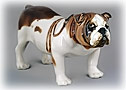 This big brindle and white English Bulldog figurine comes complete with collar and leash.