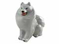 This happy American eskimo dog is a ball of white fluff and is wagging her tail in excitement. 