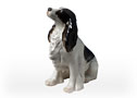 This dark brown and white Springer Spaniel  figurine looks so real you will want to scratch her head. 