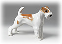 This small Coarsehaired Terrier gift is obviously a very lively little guy. 