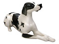 A cousin to the black and white German Shorthaired Pointer, this dog is known for her courage and power.