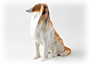 There is simply no resisting this lovely Lomonosov porcelain collie puppy. 
