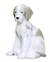  Come to our puppy sale and take a look at this big gray and white puppy figurine gift.