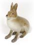 Have you ever been to the Wild Hare in Chicago?  If so, you're sure to love this  Wild Hare figurine. 