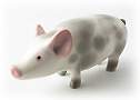 Whether they are teacup pink pigs or feeder pigs for sale in Ohio, all pigs relied on Mama pig figurine at some point.