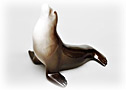 This Lomonosov porcelain figurine shows a very cool Seal.