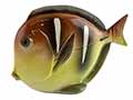 This Lomonosov porcelain Fish figurine provides you with the wonders of the sea and ocean fish.