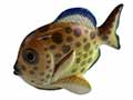 Learn some facts about Fish and put this pretty Fish figurine in your Fish bowl.  