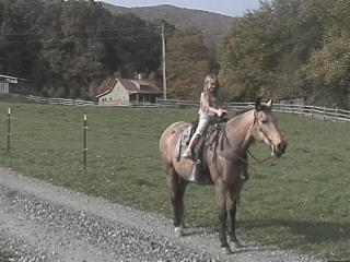 Boone Vacation Rental: The Old Farmhouse at Willet Ponds Horse Farm