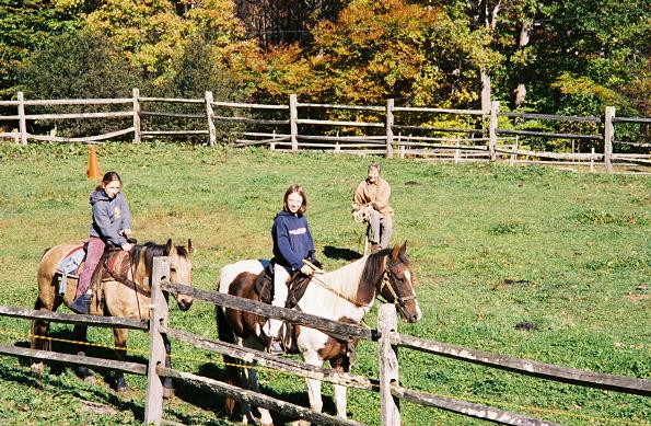 Boone Vacation Rental: The Old Farmhouse at Willet Ponds Horse F