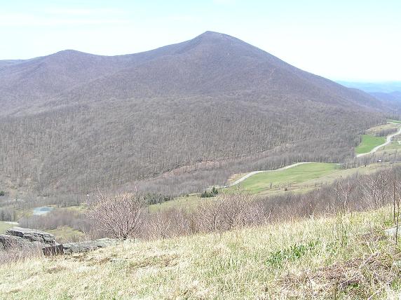 Boone Vacation Rental: The Old Farmhouse at Willet Ponds Horse F