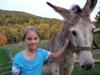 Boone Vacation Rental: The Old Farmhouse at Willet Ponds Horse Farm