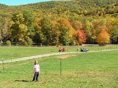 Boone Vacation Rental: The Old Farmhouse at Willet Ponds Horse Farm