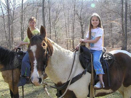 Boone Vacation Rental: The Old Farmhouse at Willet Ponds Horse F