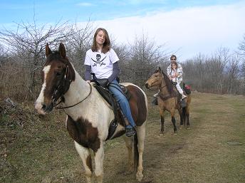 Boone Vacation Rental: The Old Farmhouse at Willet Ponds Horse Farm