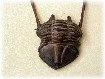 Buy Terra Cotta Pendant - Trilobite Fossil at GoldenCockerel.com