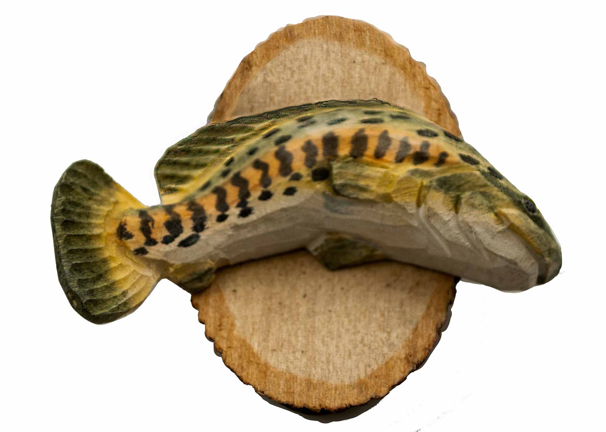 Buy Perch Fish Wildlife Magnet at GoldenCockerel.com