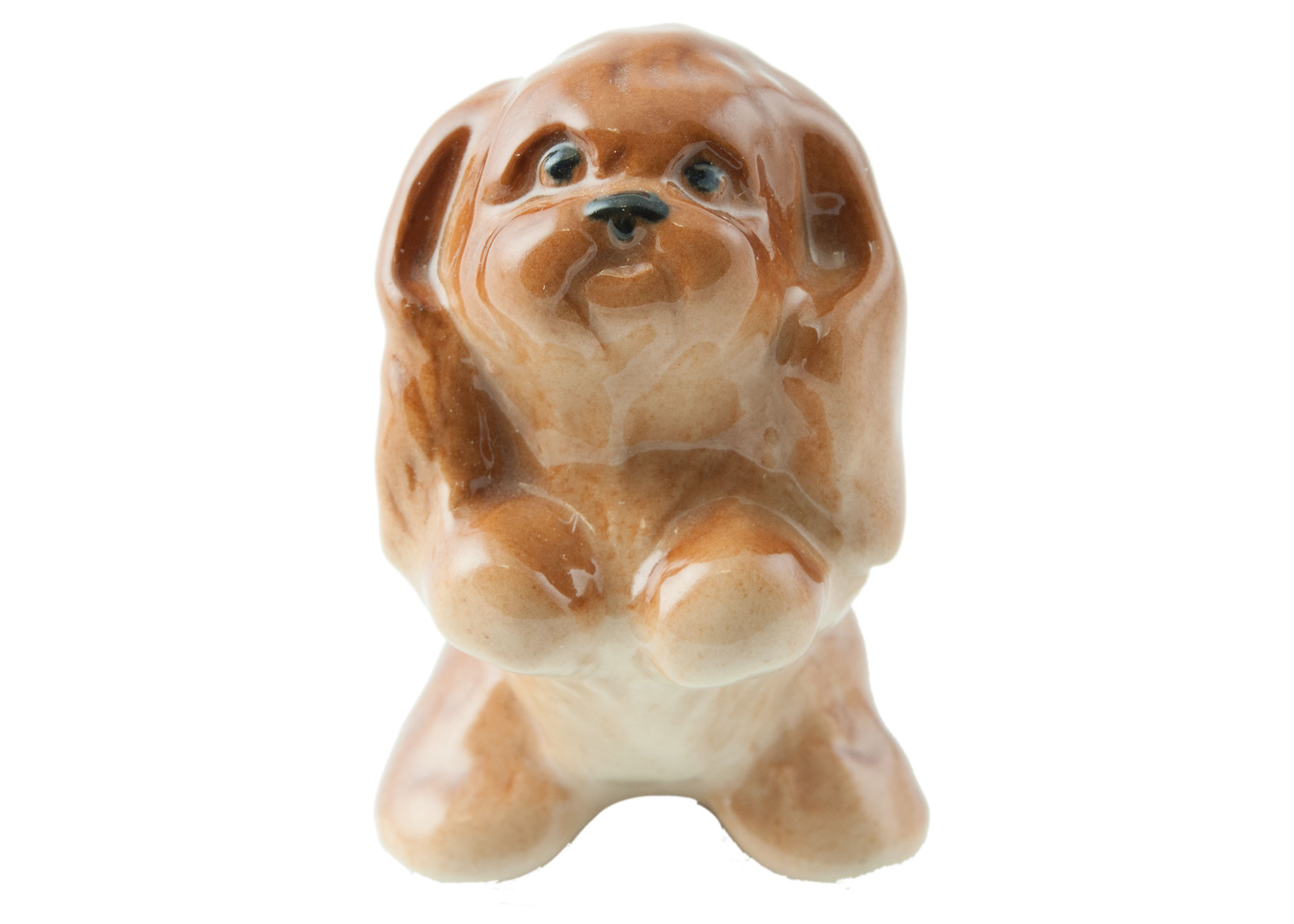 Buy Bolognese Begging Porcelain Figurine at GoldenCockerel.com