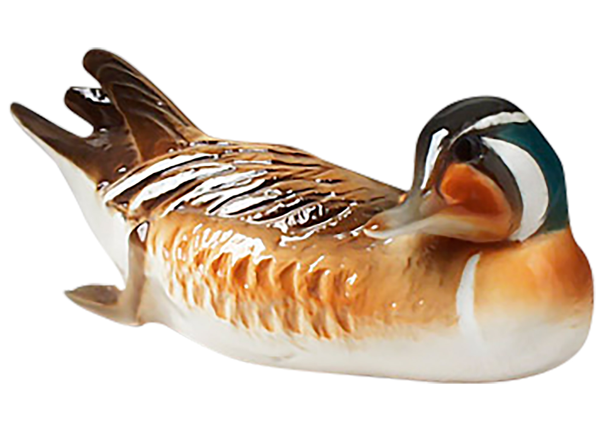 Buy Russian Baikal Teal Duck  (looking back) at GoldenCockerel.com