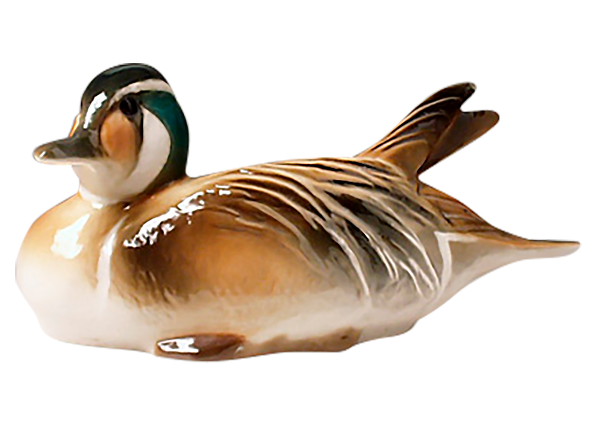 Buy Russian Baikal Teal  Duck (looking left) at GoldenCockerel.com