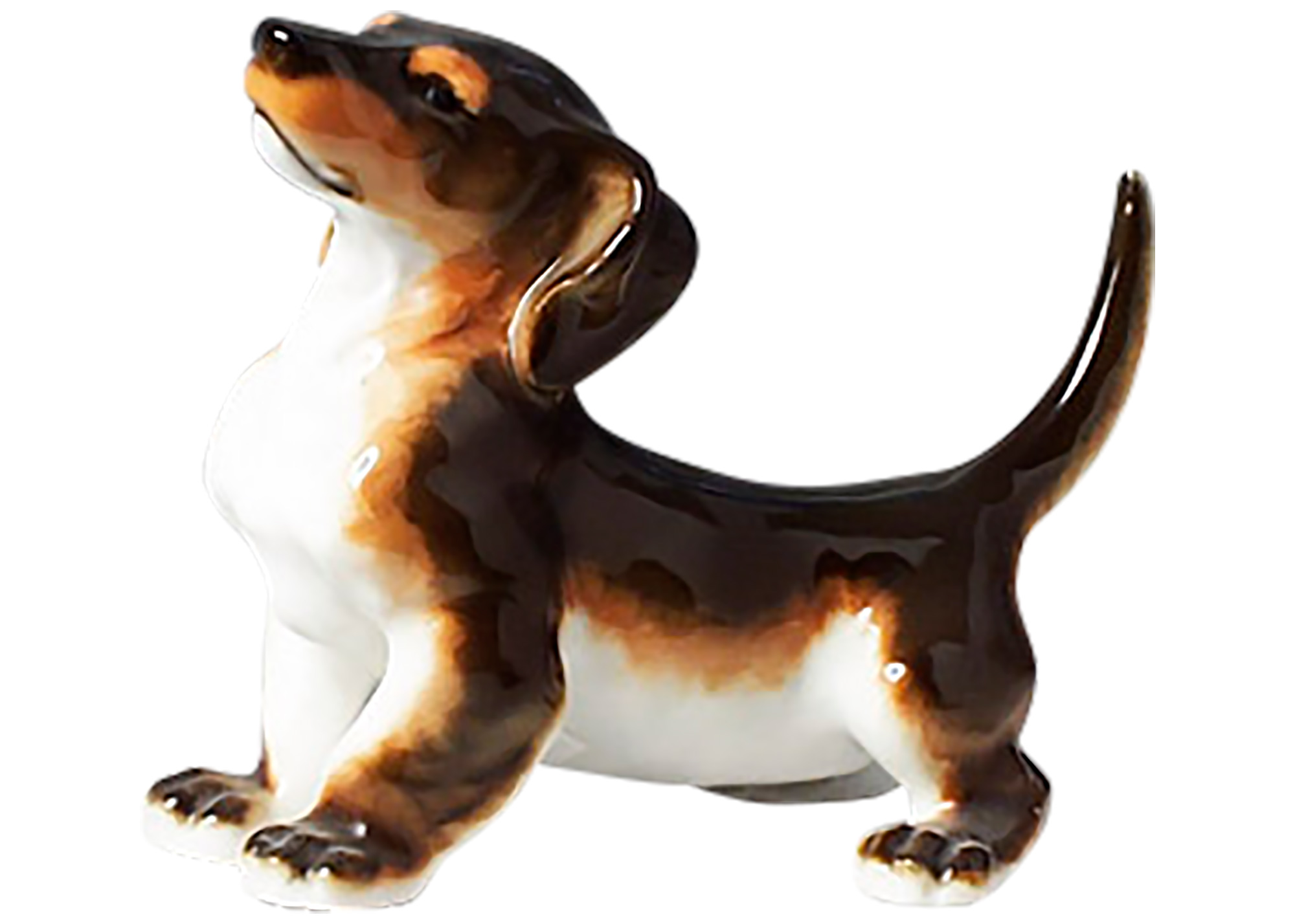 Buy Large Dachshund Porcelain Figurine at GoldenCockerel.com