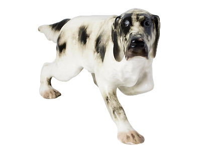 Buy Black and White English Setter at GoldenCockerel.com