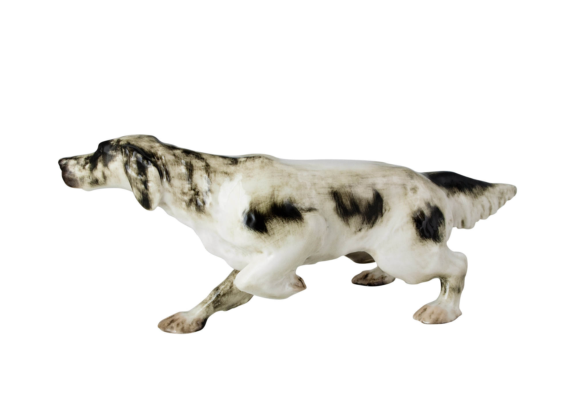 Buy Black and White English Setter at GoldenCockerel.com