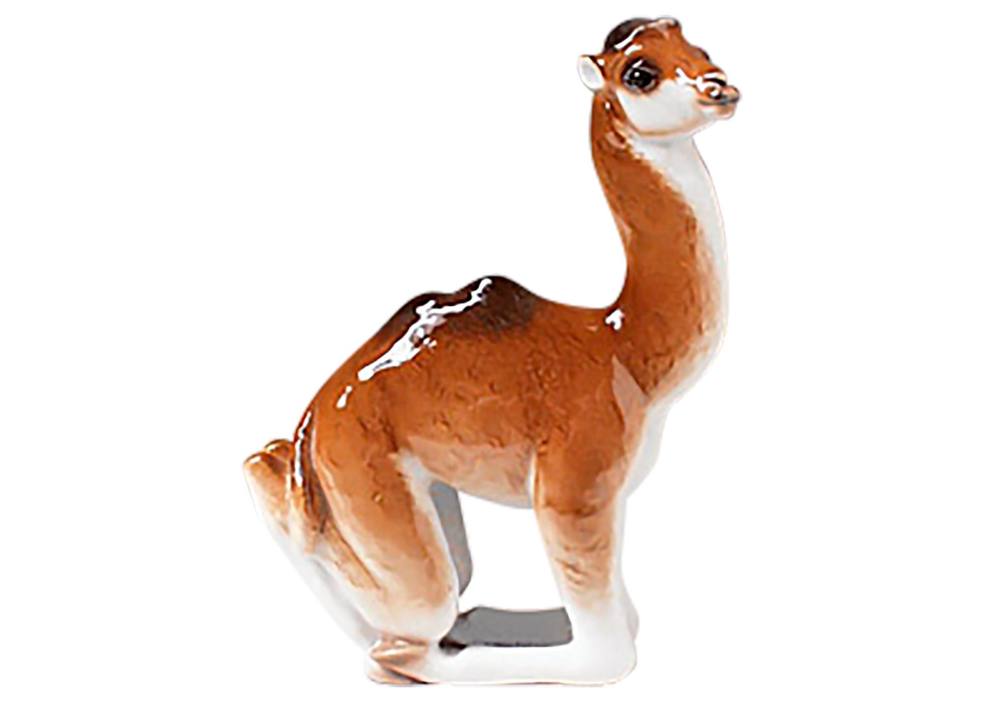 Buy Porcelain Camel Figurine at GoldenCockerel.com