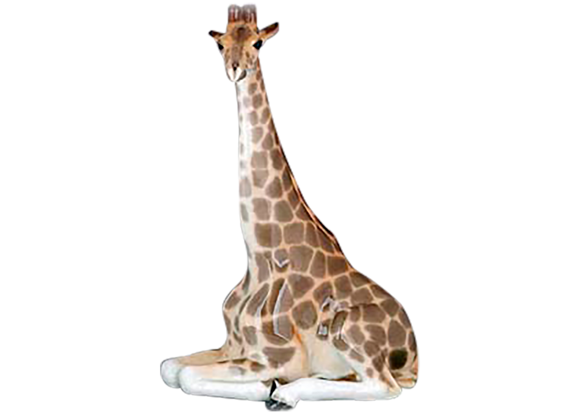 Buy Giraffe Figurine w/ Head Up at GoldenCockerel.com