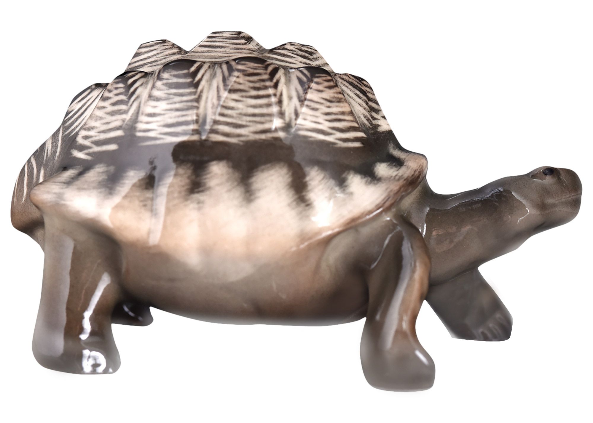 Buy Porcelain Land Turtle Figurine  at GoldenCockerel.com