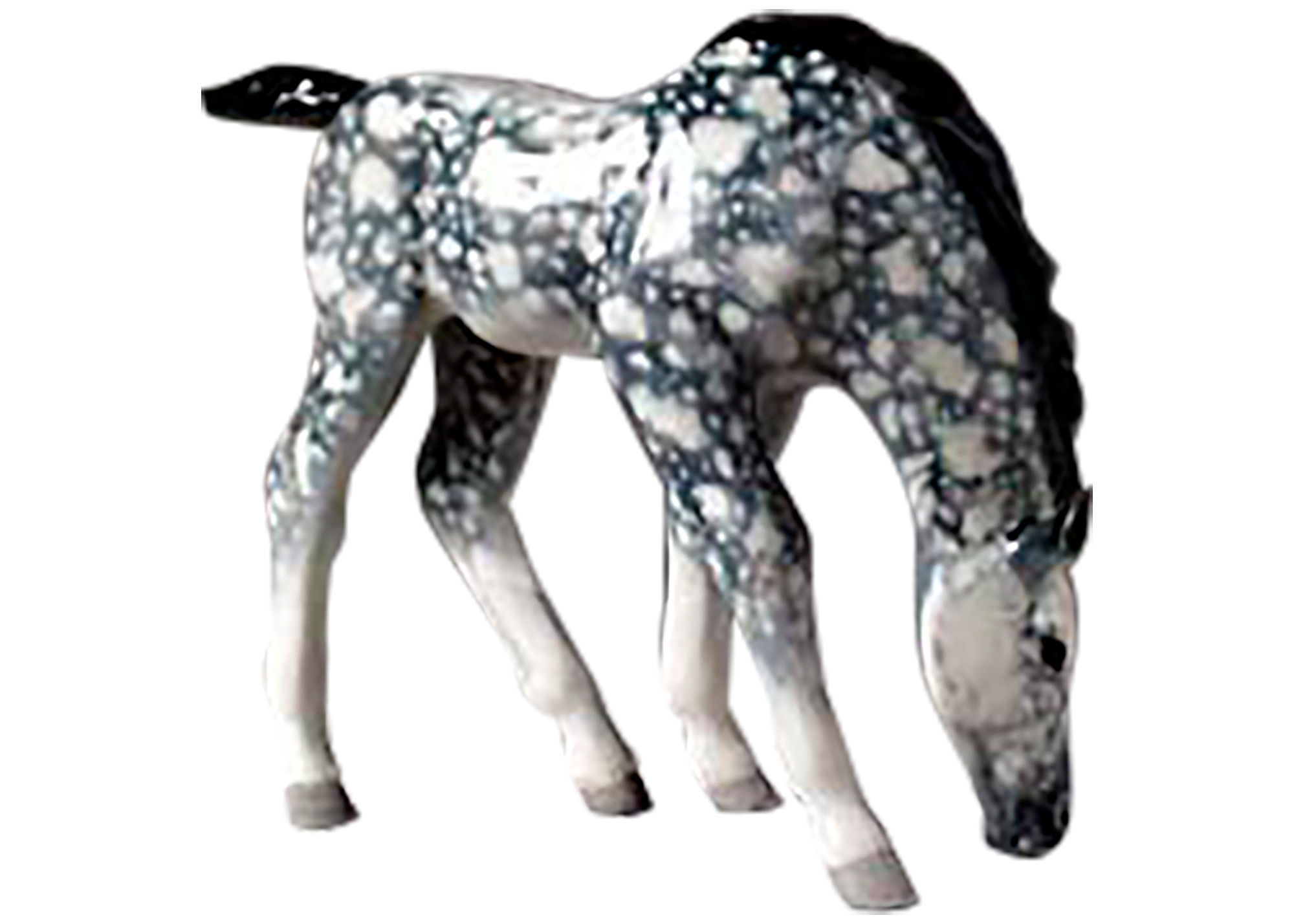 Buy Dapple Grey Foal Figurine at GoldenCockerel.com